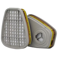 Filter mot gas och ånga, A1 + formaldehyd, 6075