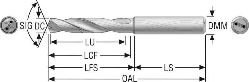 BORR SD203A-0250-008-04R1-MS