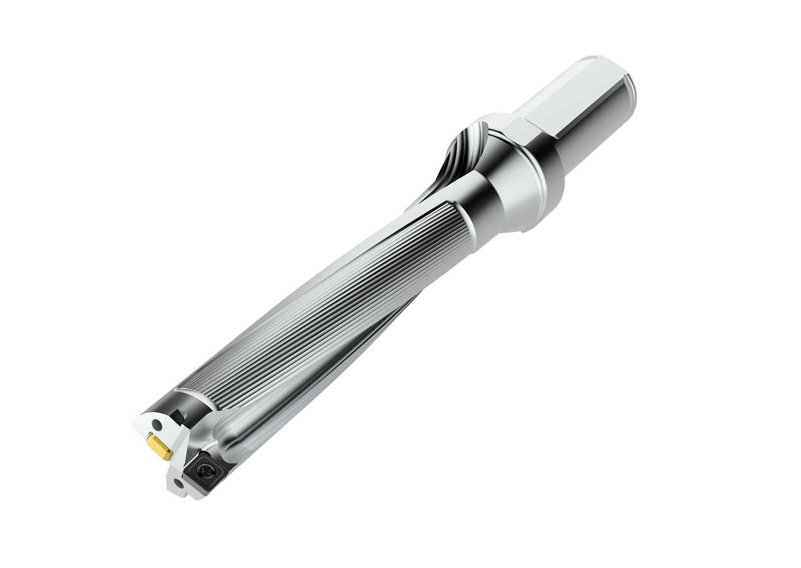 BORR SD525-20-100-25R7